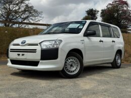 2019 – Toyota Probox Hybrid – White