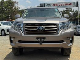 2020- Toyota Landcruiser Prado TX – Bronze