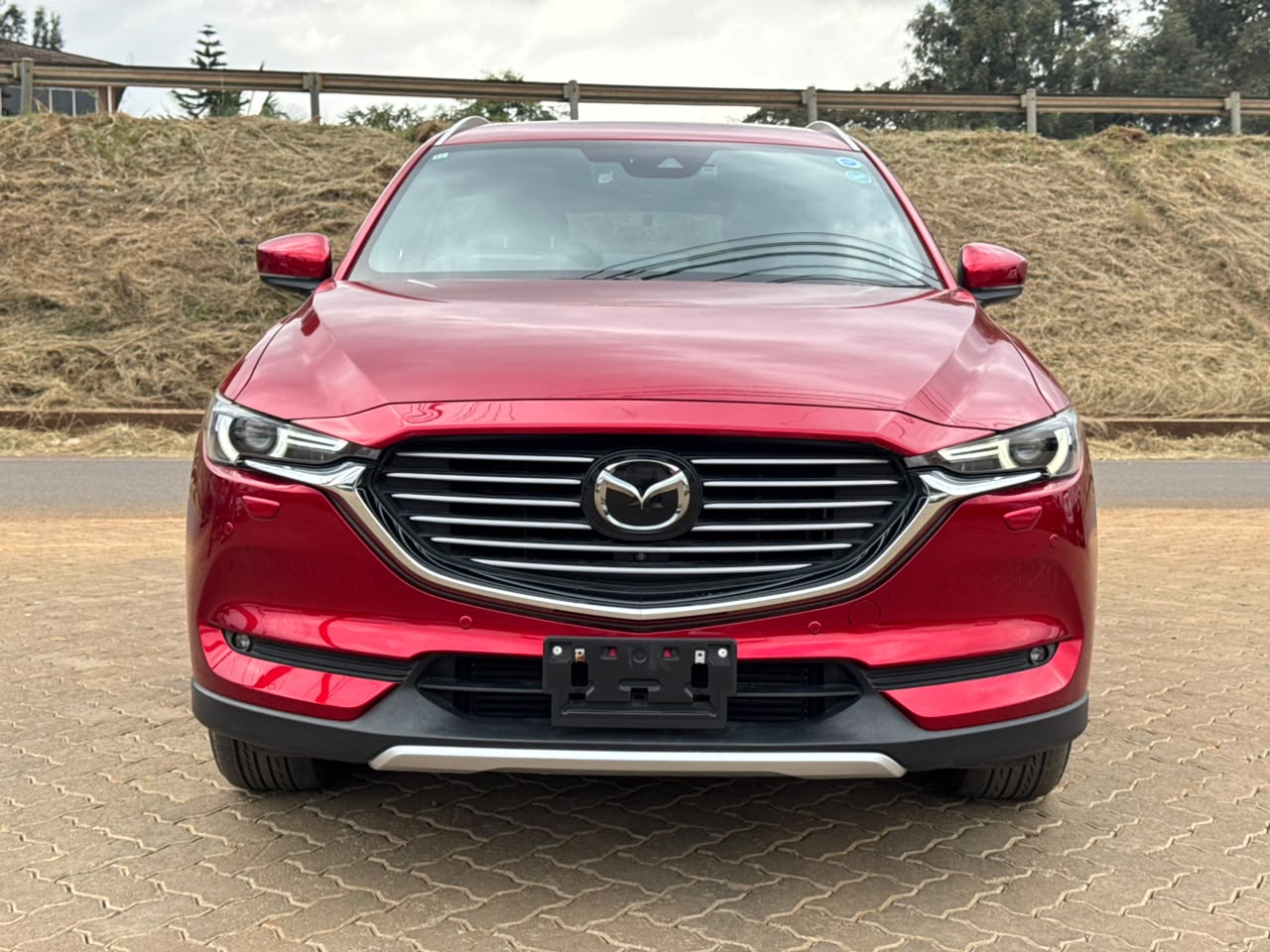 2019- Mazda CX-8 X-DL SkyActiveD- Wine Red