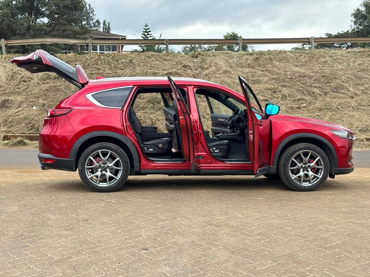 2019- Mazda CX-8 X-DL SkyActiveD- Wine Red