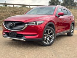 2019- Mazda CX-8 X-DL SkyActiveD- Wine Red