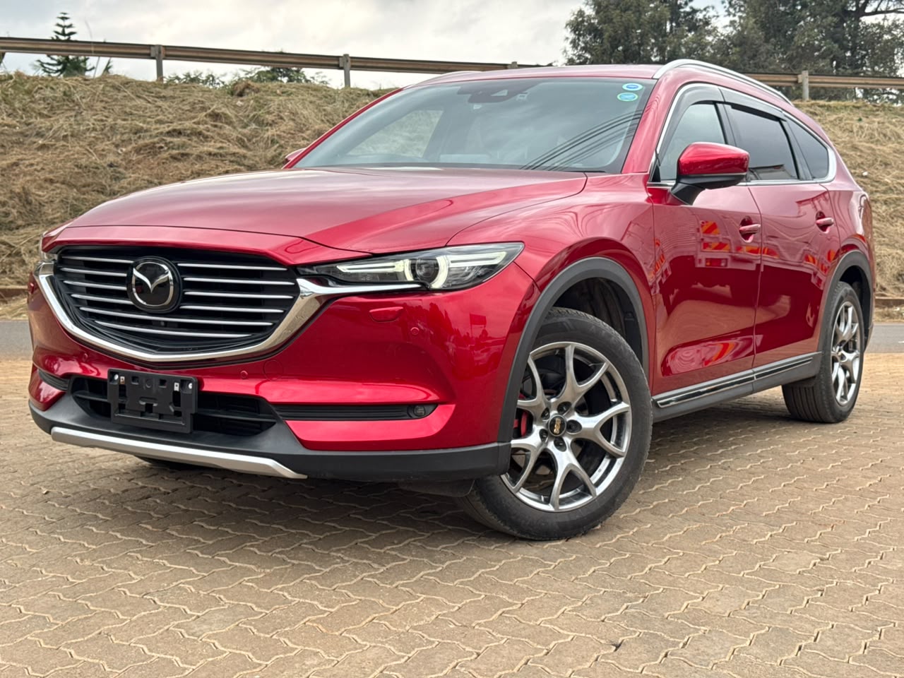 2019- Mazda CX-8 X-DL SkyActiveD- Wine Red