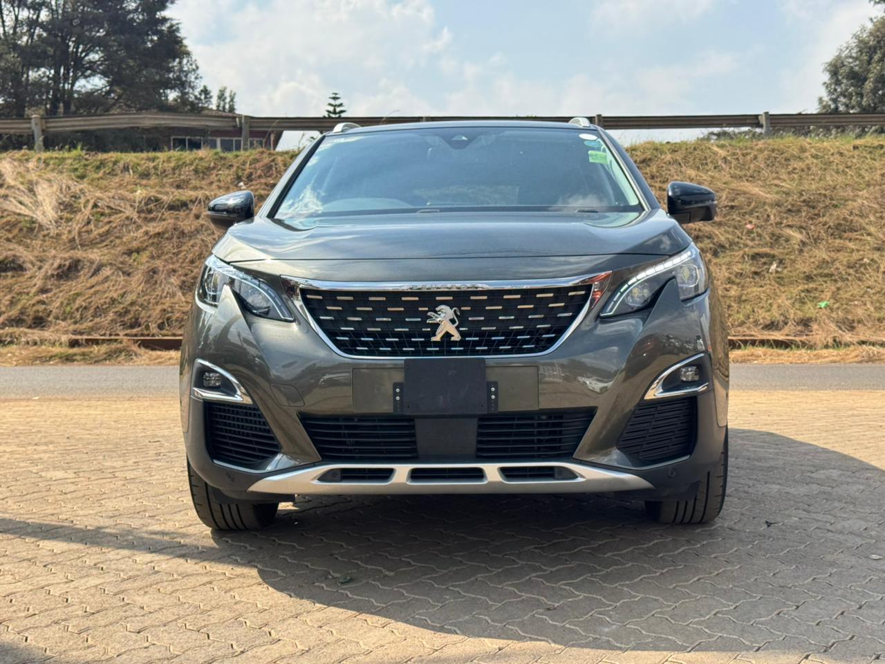 2019- Peugeot 3008 – Green