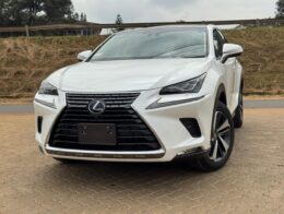 2019- Lexus NX300- White
