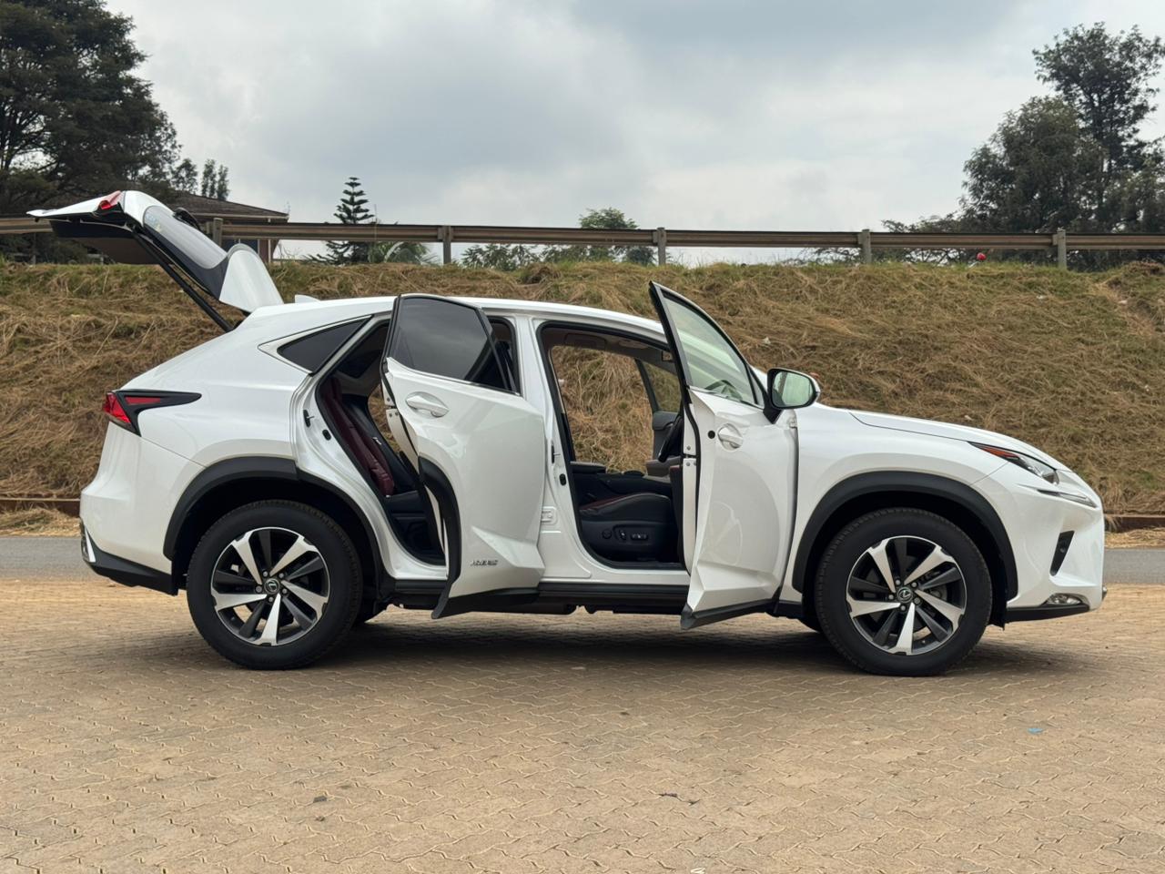 2019- Lexus NX300- White