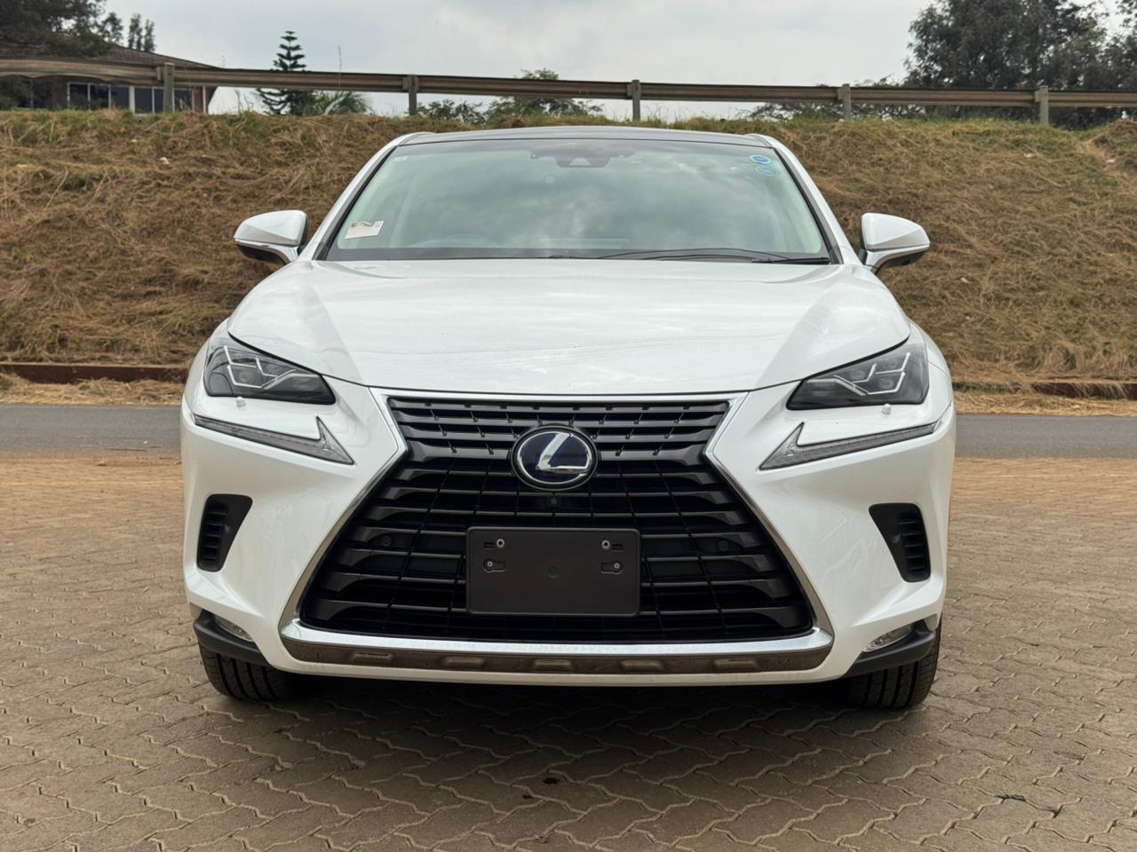 2019- Lexus NX300- White