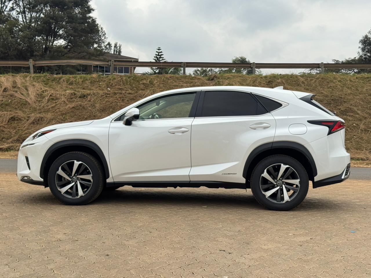 2019- Lexus NX300- White