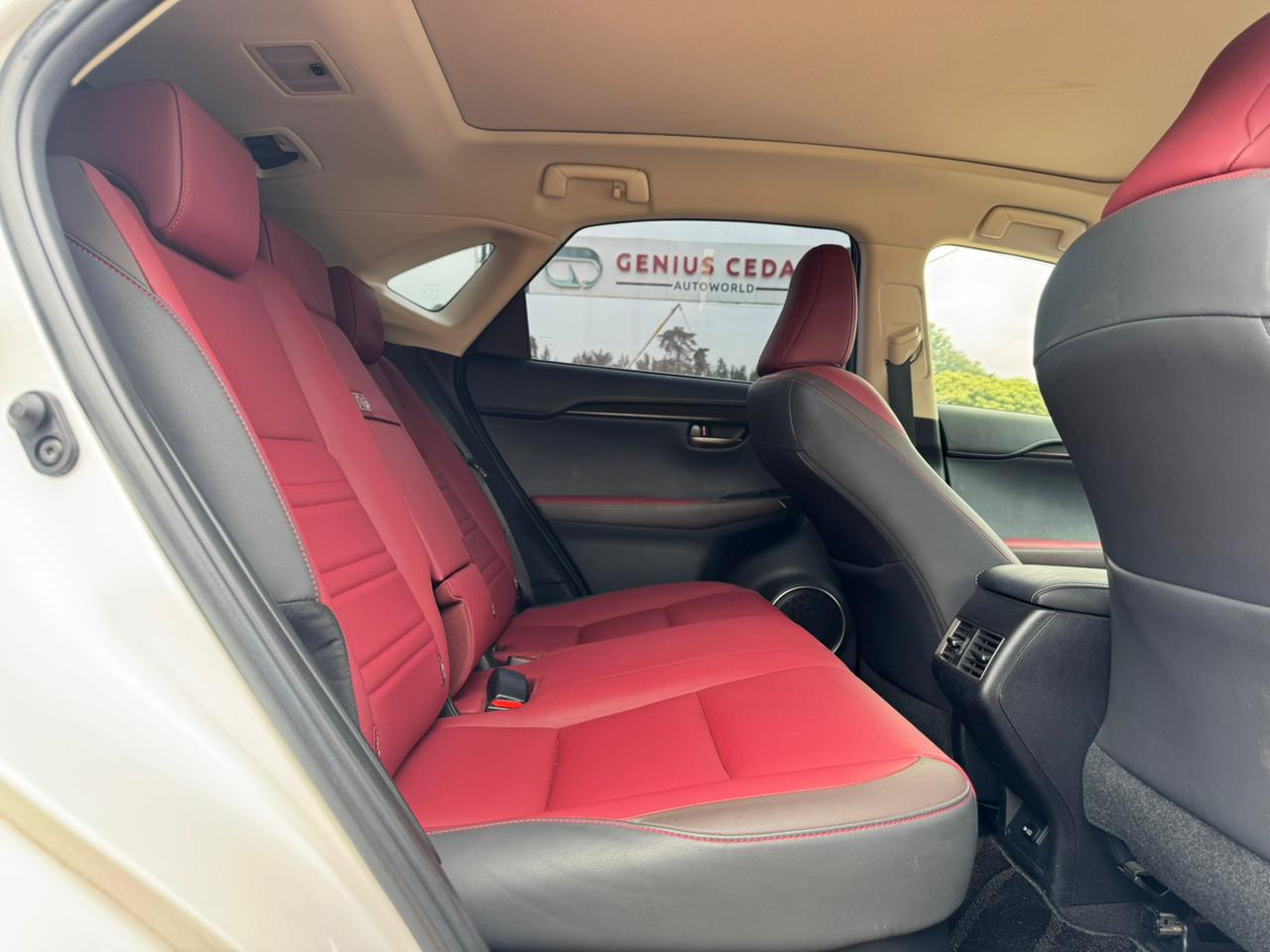 2019- Lexus NX300- White