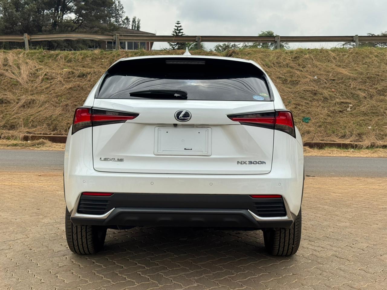2019- Lexus NX300- White